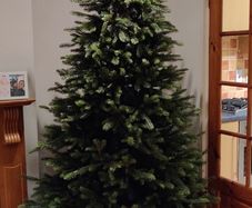 Christmas tree 7,5 ft
