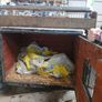 Dog Trailer Image 3
