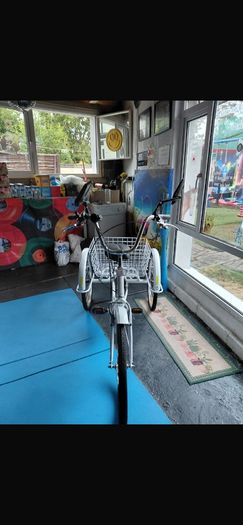 2 adult trike bikes for sale