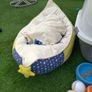cat stuff Image 4