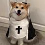 Pet Halloween Costumes Image 6