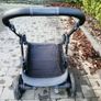 buggy Image 2