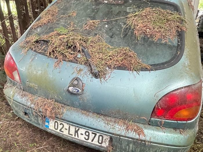 ford fiesta parts
