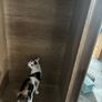 Large 3 Door Mirrored Wardrobe Excellent Storage Image 3