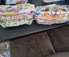 Potty training pants