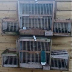 trap cage