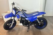 Pw 50
