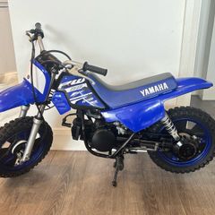 Pw 50