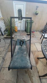Dog treadmill