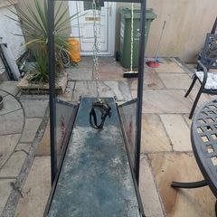 Dog treadmill