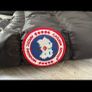 canada goose hybridge Image 2