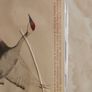 The Decemberists CD  - The Crane Wife Image 2