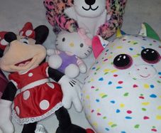 Teddies