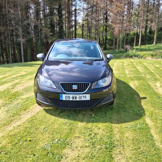 2009 Seat Ibiza