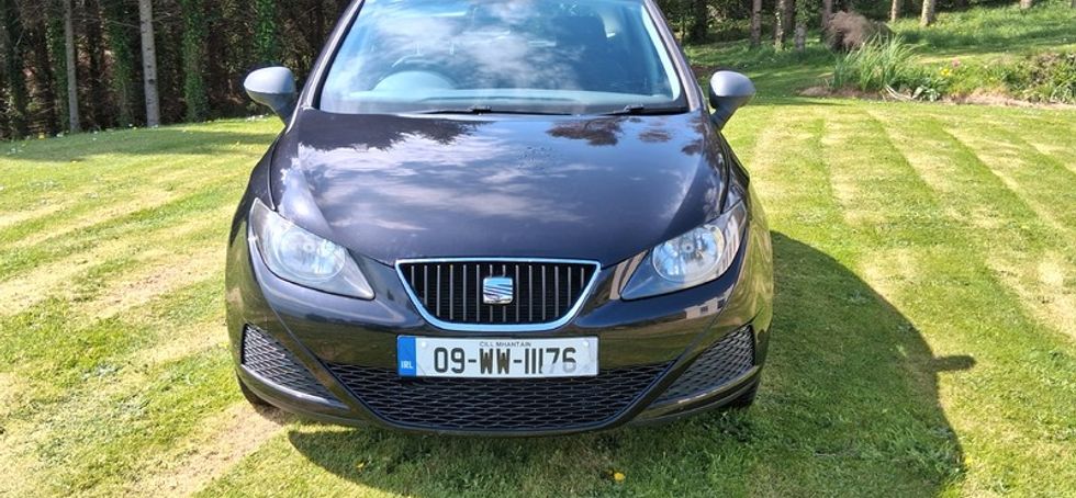 2009 Seat Ibiza