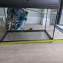 fish tank 60L (large) Image 3