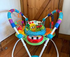 Baby Einstein Neighborhood Friends Activity Jumper / Jumperoo