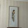 Large Feather Framed Pictures Image 3