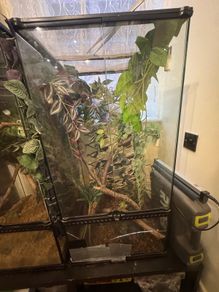 Exoterra Terrarium