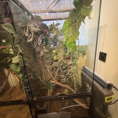 Exoterra Terrarium