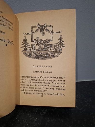 Enid Blyton Mystery book