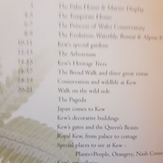 Kew Royal Botanic Kew Gardens Souvenir Guide.