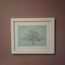 'Oak Tree' Image 3
