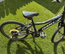 Kids bike Giant Revel Jr 20 inch aluminium frame