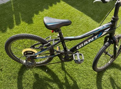 Kids bike Giant Revel Jr 20 inch aluminium frame