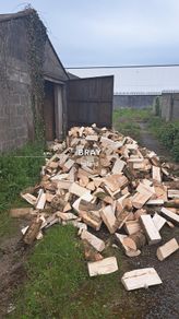 Firewood BRAY