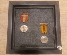 Rare Irish 26th Battalion Emergency Medal & 1921 1971 Truce Survivors Medal