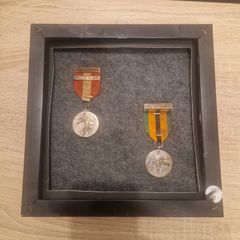 Rare Irish 26th Battalion Emergency Medal & 1921 1971 Truce Survivors Medal