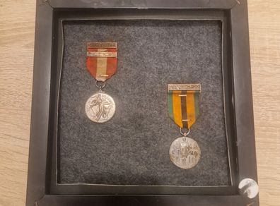 Rare Irish 26th Battalion Emergency Medal & 1921 1971 Truce Survivors Medal