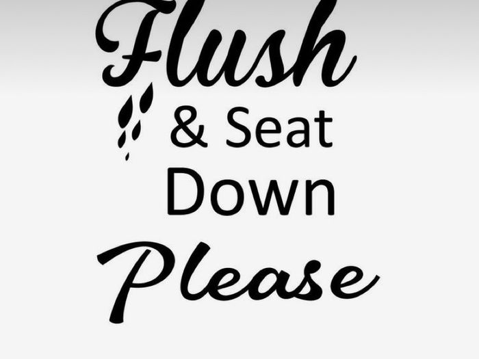 Funny toilet seat stickers