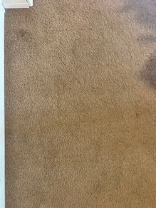 Carpet