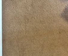 Carpet