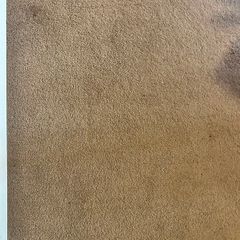 Carpet