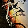 Carrera Virtuoso Mens Road Bike - White Image 3
