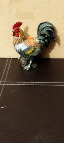 Cockerel