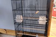 Extra tall bird cage