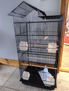 Extra tall bird cage
