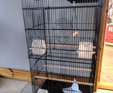 Extra tall bird cage