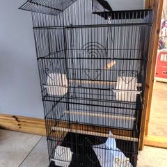 Extra tall bird cage