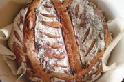 sourdough starter
