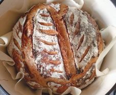 sourdough starter