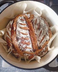 sourdough starter