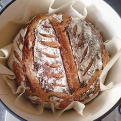 sourdough starter