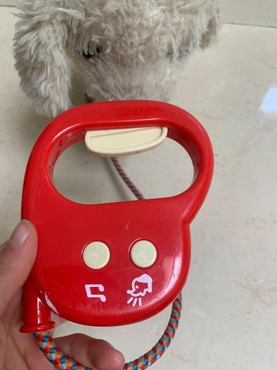 toy dog