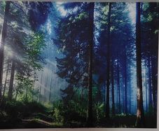 Wall Tapestry Forest Scene