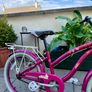 Girls Bike Image 2